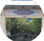 کوی دانشگاه