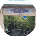 کوی دانشگاه