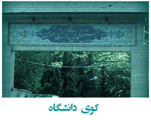 کوی دانشگاه